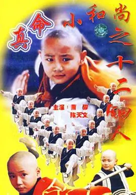 重温经典：《真命小和尚之十二铜人》唤醒童年记忆，释小龙再战铜人阵！