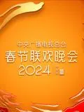 2024央视春晚：笑声与感动齐飞，文化盛宴背后的秘密！