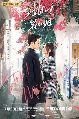 《站住！花小姐（越南语版）》：一场跨越国界的浪漫邂逅，重新定义现代爱情观！